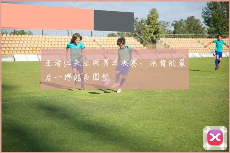 王者归来法网男单决赛，老将的最后一搏能否圆梦