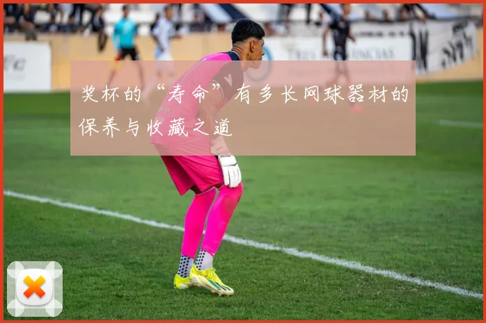 奖杯的“寿命”有多长网球器材的保养与收藏之道