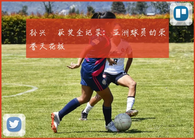 孙兴慜获奖全记录：亚洲球员的荣誉天花板