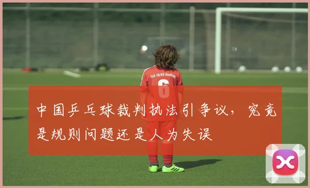 中国乒乓球裁判执法引争议，究竟是规则问题还是人为失误