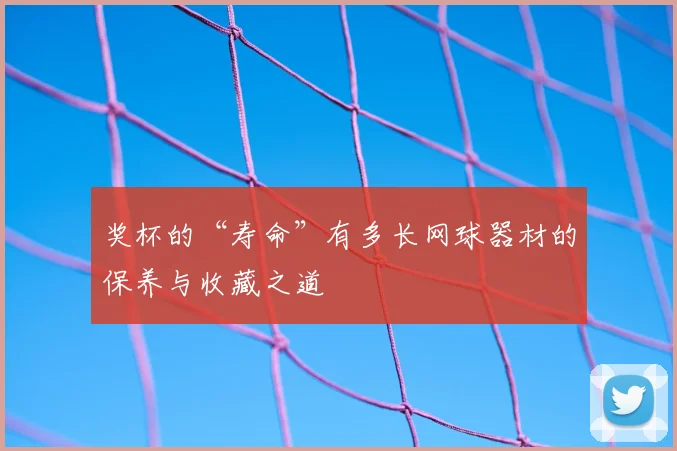奖杯的“寿命”有多长网球器材的保养与收藏之道