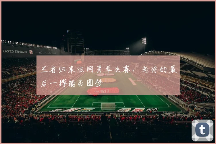 王者归来法网男单决赛，老将的最后一搏能否圆梦